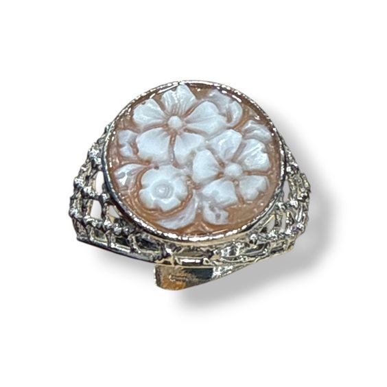 Anello Mandile 1922 Donna Cammei  in Argento Conchiglia 2KK70165 - 2KK70165